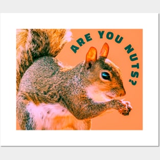 Are You Nuts?  Funny Squirrel Picture Posters and Art